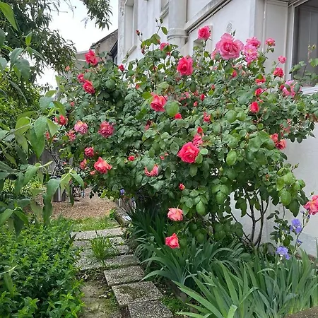 L'escapade Verte Daire