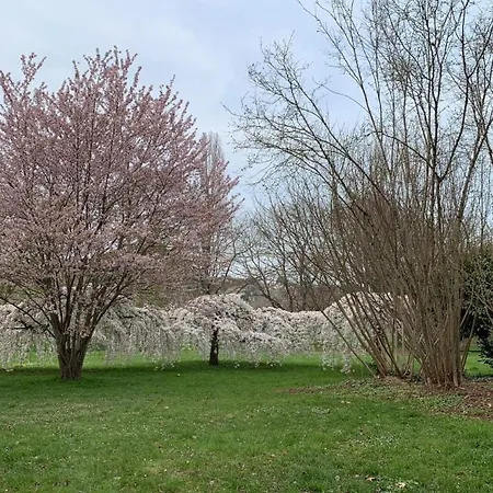 L'escapade Verte Apartmán Tours