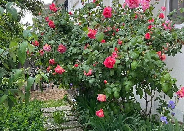 L'escapade Verte Apartmán