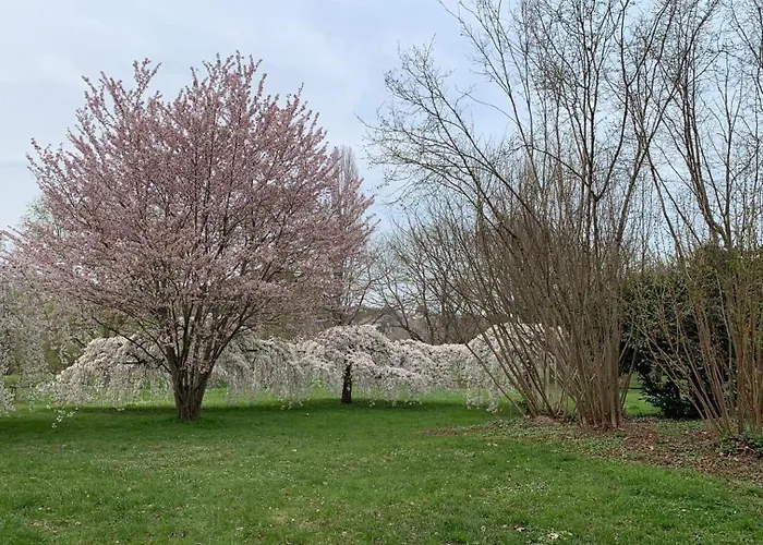 L'escapade Verte Lejlighed Tours